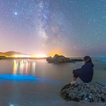 アパート A Cova Do Traski