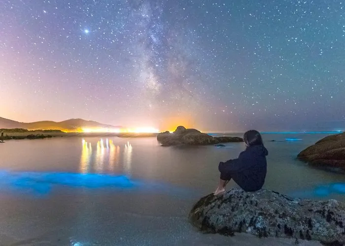 Lejlighed A Cova Do Traski